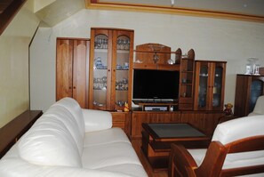 Fernseher