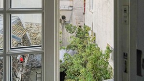 Une vue à travers une fenêtre, donnant sur des immeubles et un arbre.