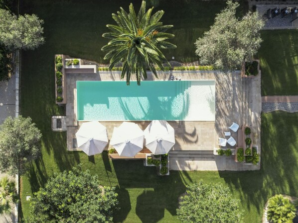 An aerial view of a rectangular swimming pool with a palm tree in the center, surrounded by white umbrellas and lounge chairs.