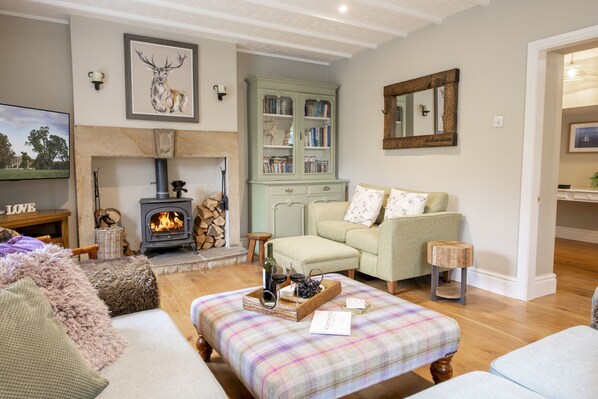 Televisión, chimenea y reproductor de DVD