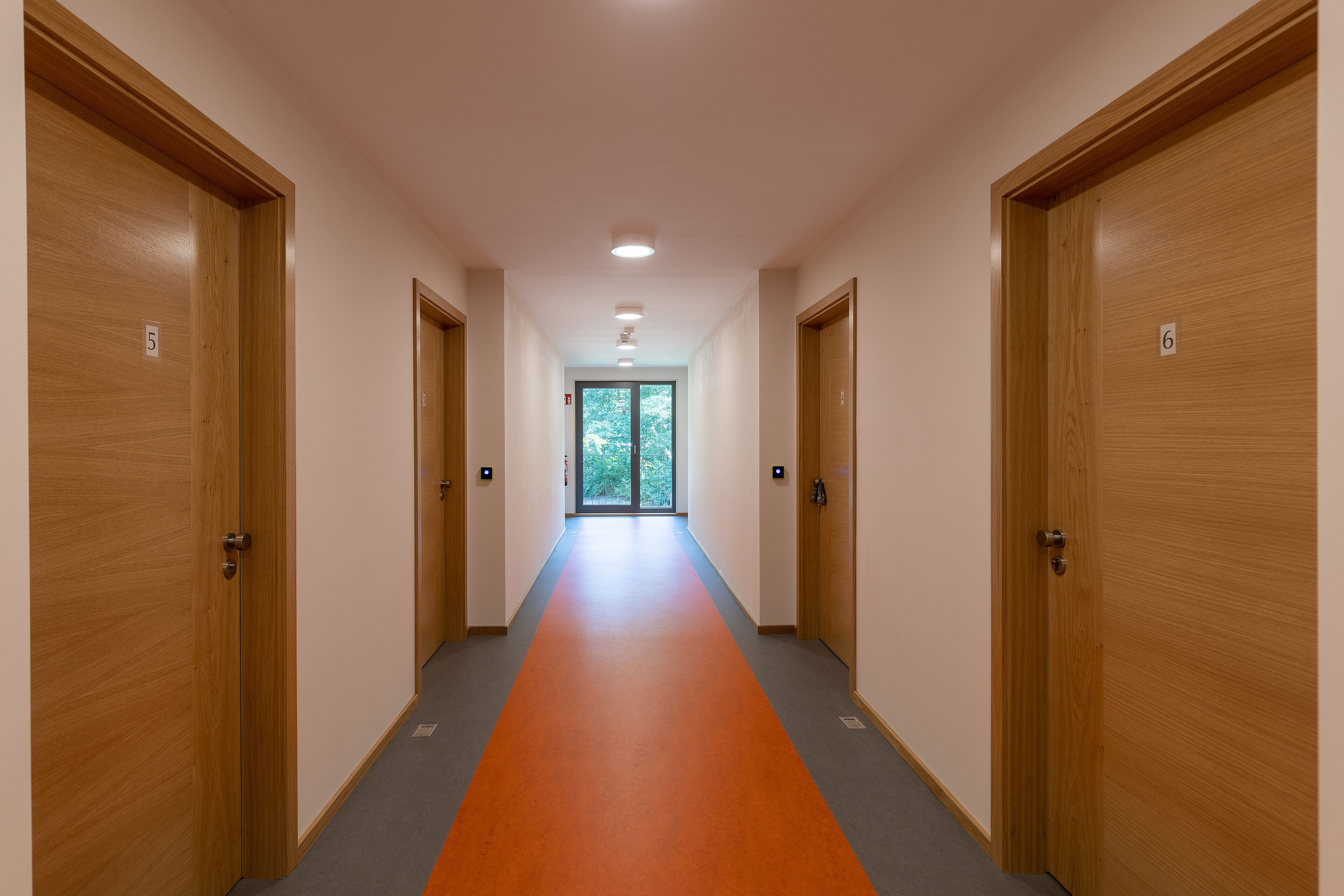 A hallway with wooden doors numbered 5 and 6, leading to a bright room with a large window.