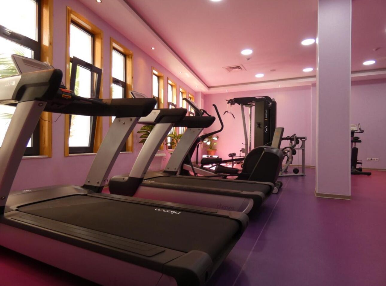 A gym with treadmills, ellipticals, and weight machines.