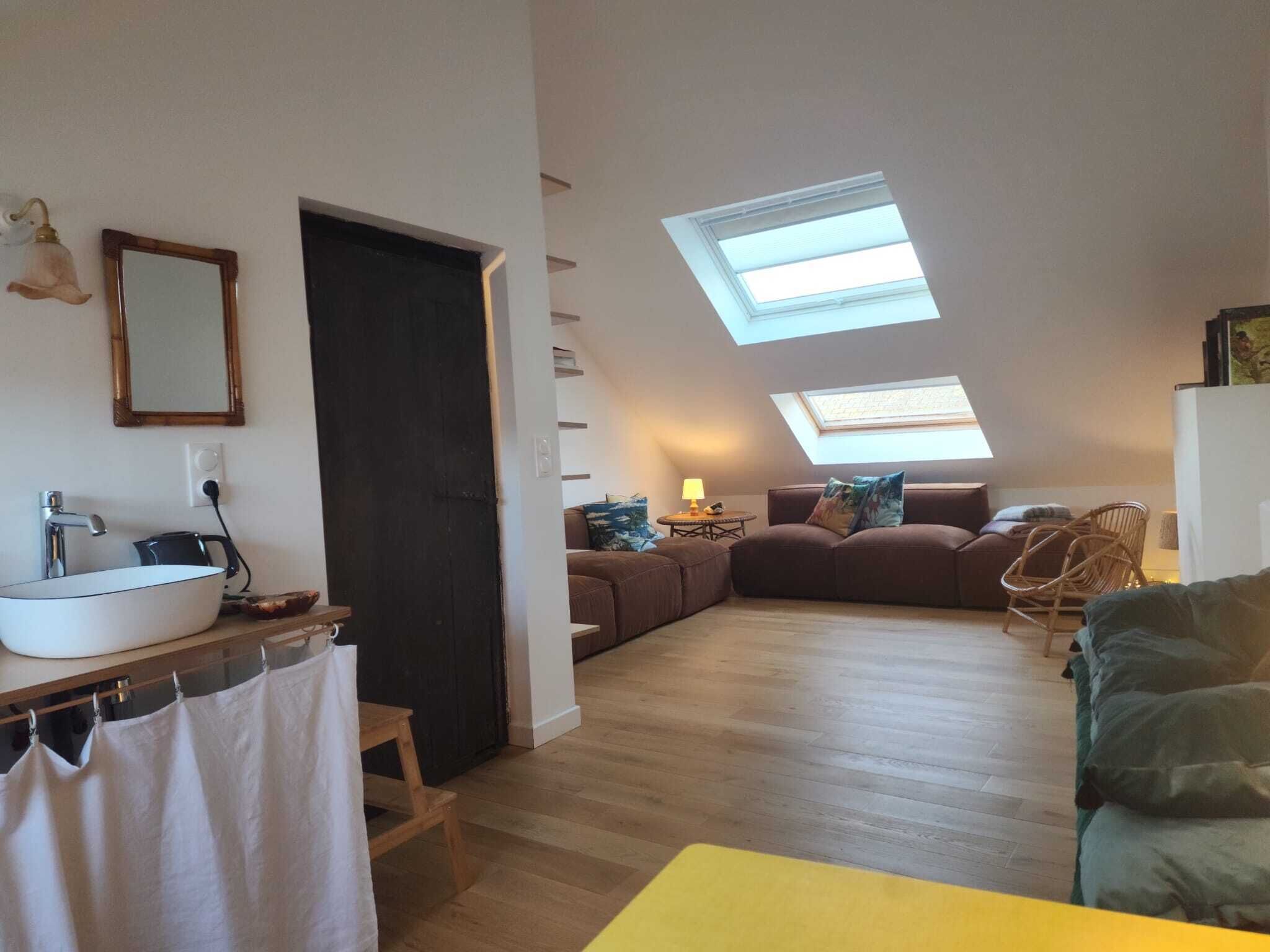 TV, books, computer monitors