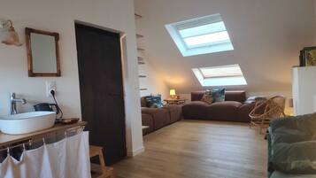 TV, books, computer monitors