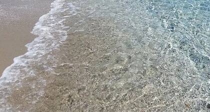 House immersed in the green, a few steps from the sea