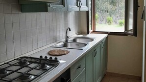 Een keuken met een gasfornuis, twee spoelbakken en groene kasten.