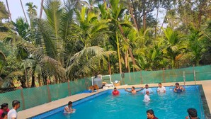 Una piscina rodeada de palmeras y una valla verde.