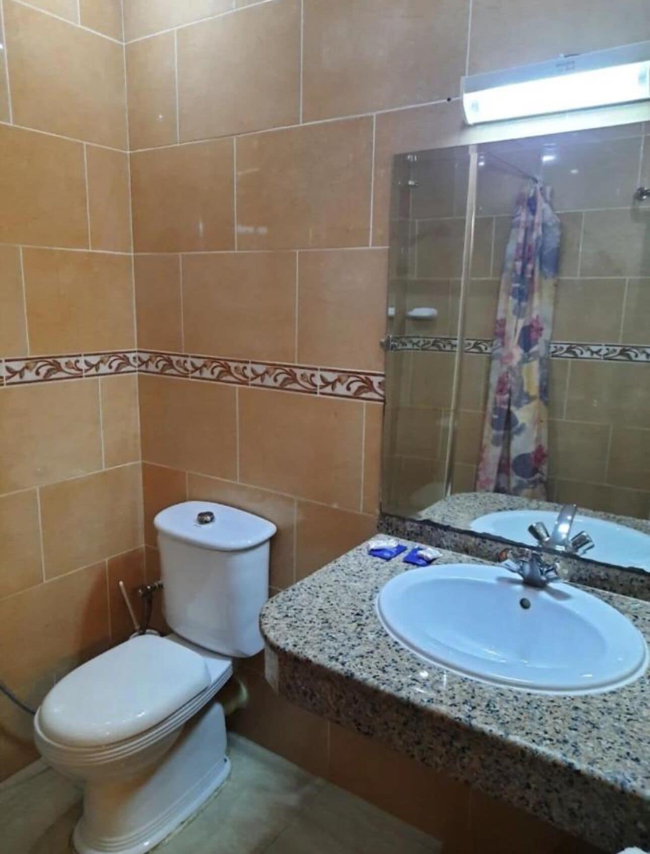 Ein Badezimmer mit Toilette, Waschbecken und Dusche.