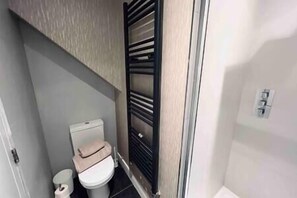 Hair dryer, towels