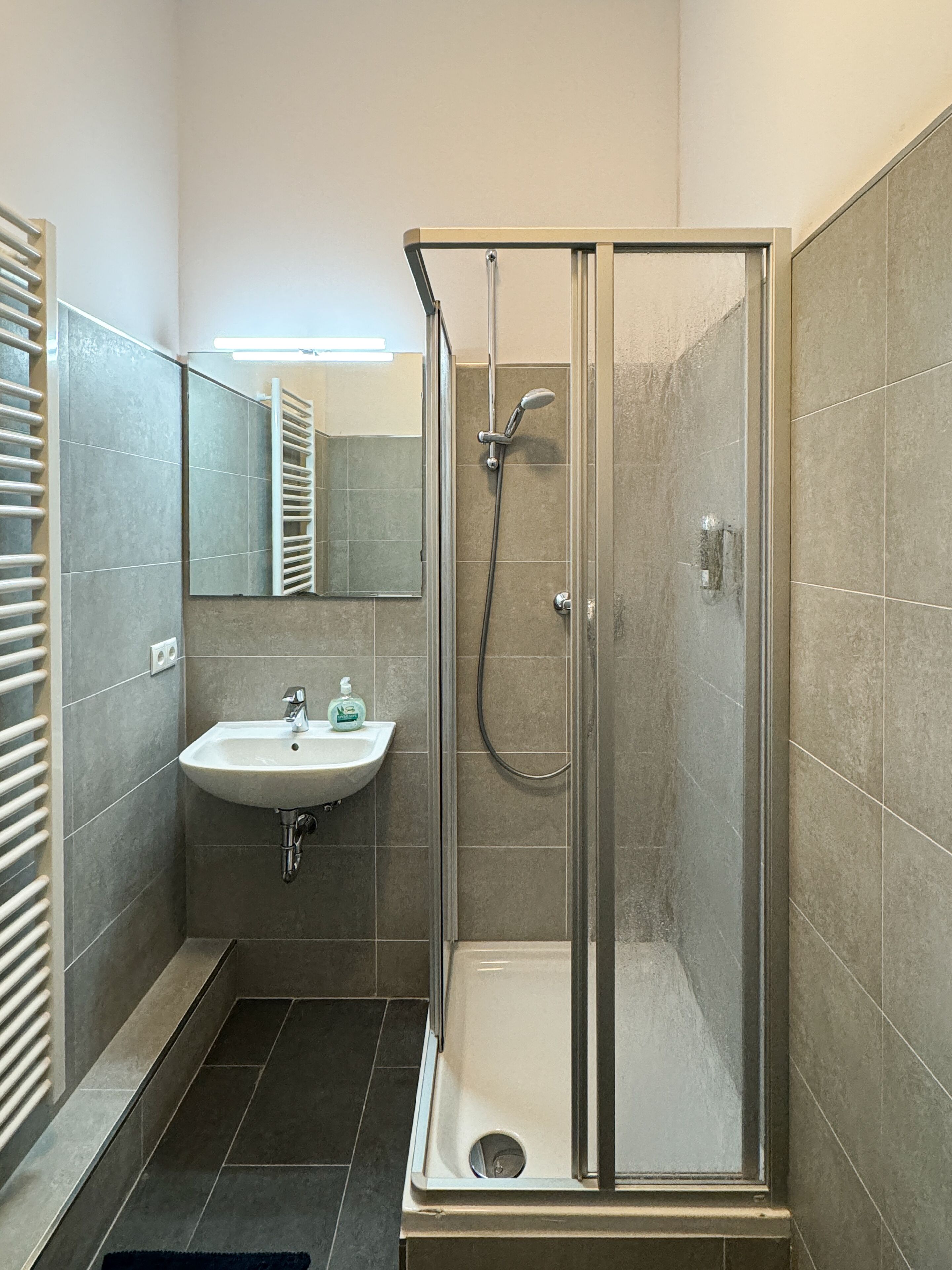 豪華公寓, 1 張加大雙人床 | 浴室 | 淋浴設備、吹風機、毛巾、肥皂