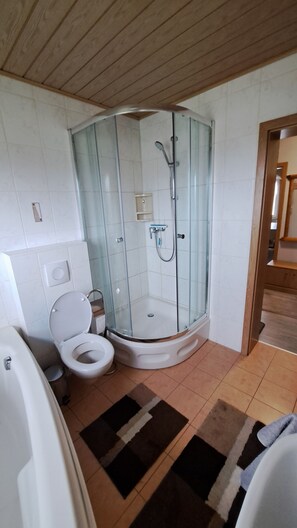 A bathroom with a glass-enclosed shower, a toilet, and a bathtub. - Vacation Apartment in the Heart of Franconia (Winterhausen)