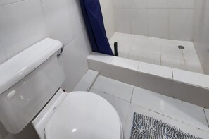 Combined shower/bathtub, deep-soaking bathtub, hair dryer, towels