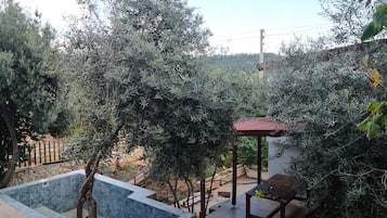 Comfort Double Room, Garden View | Garden view
