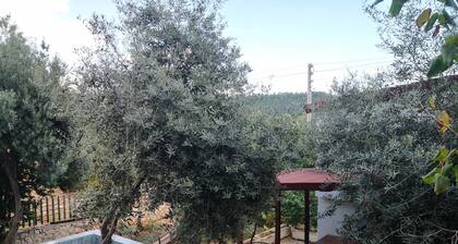 Seron Mountain House