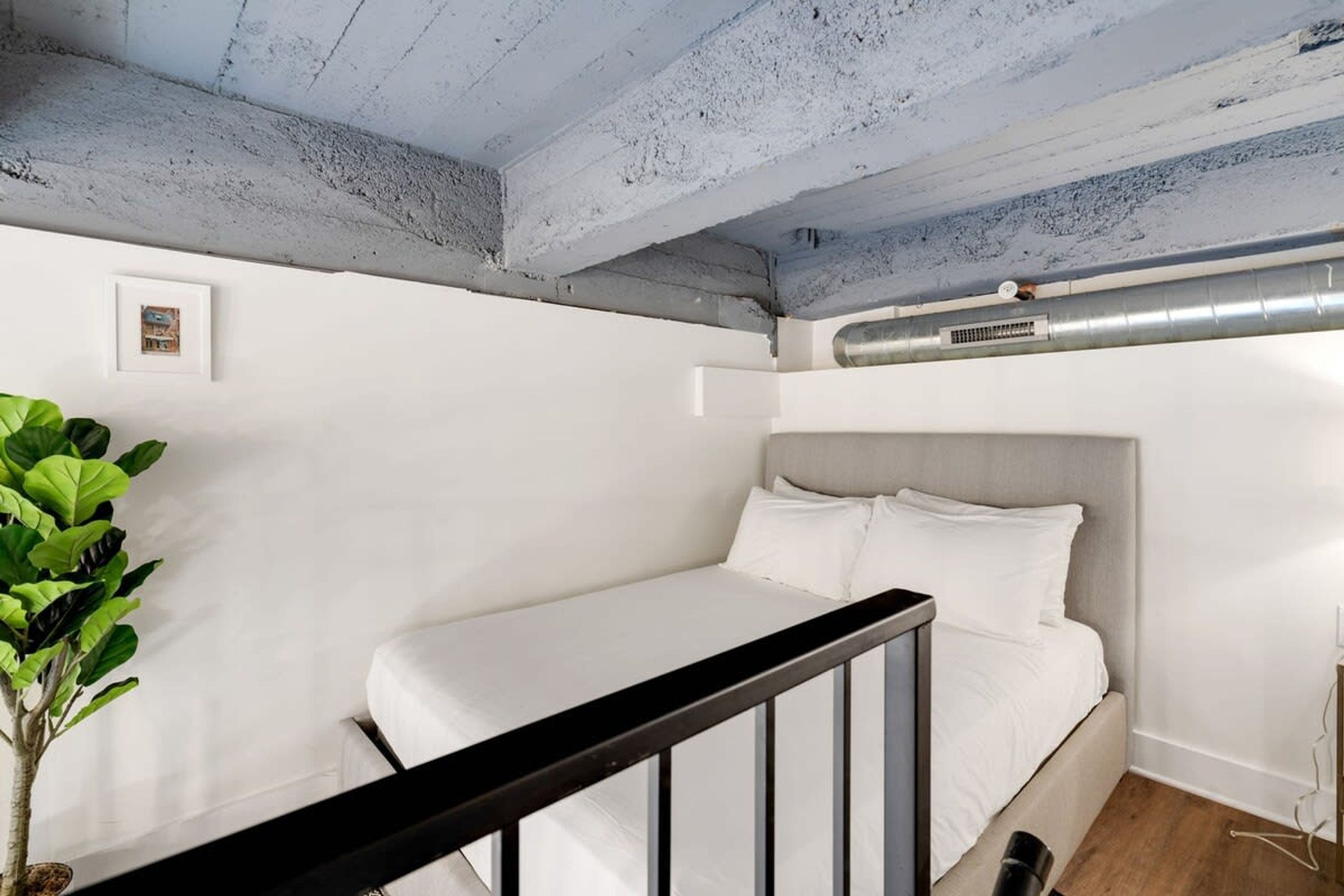 A bedroom with a bed, a plant, and a ceiling with exposed beams.