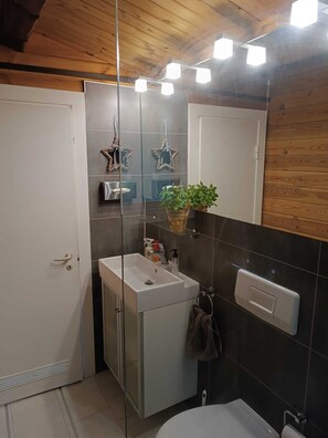 Shower, hair dryer, towels, toilet paper
