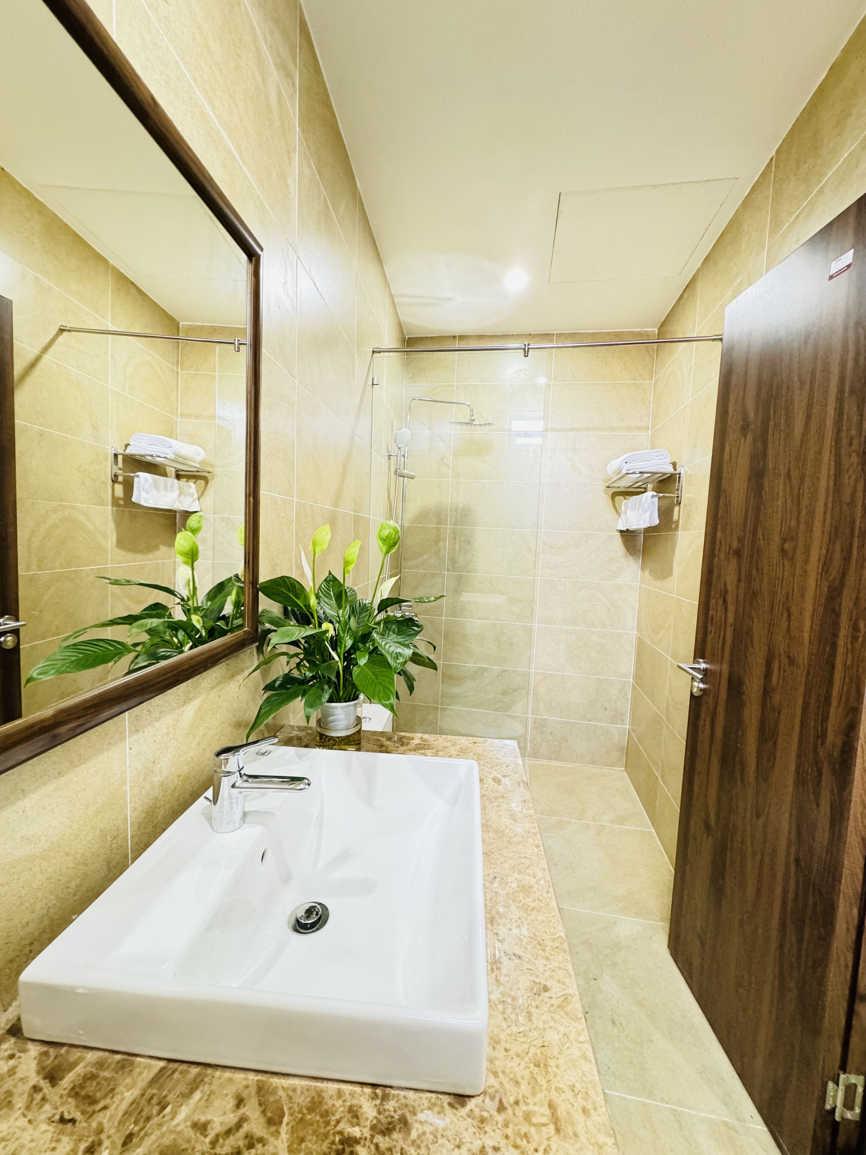Une salle de bain avec un lavabo blanc, un miroir, une douche et une porte en bois.