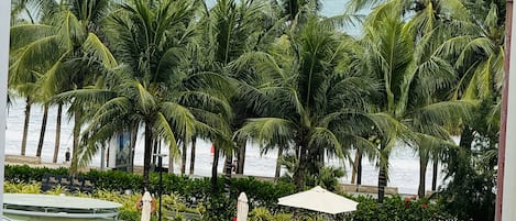 Vlak bij het strand, wit zand