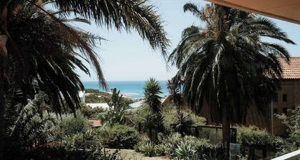 Seascape - Where Coastal Fun and Adventure Meet