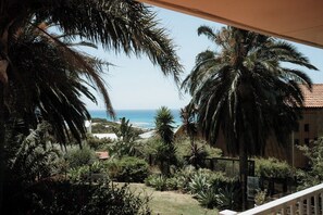 Vista d'un jardí amb palmeres i un edifici al fons.