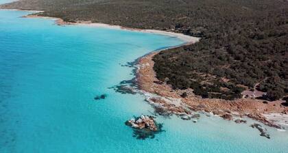 Seascape - Where Coastal Fun and Adventure Meet