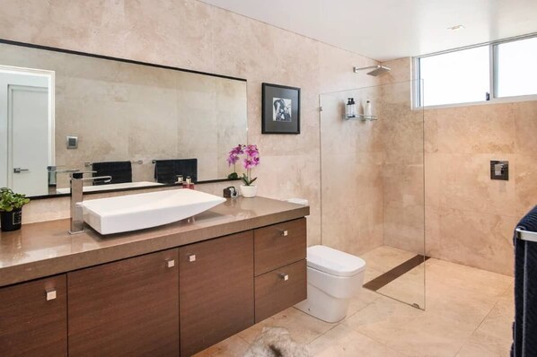 Shower, hair dryer, towels