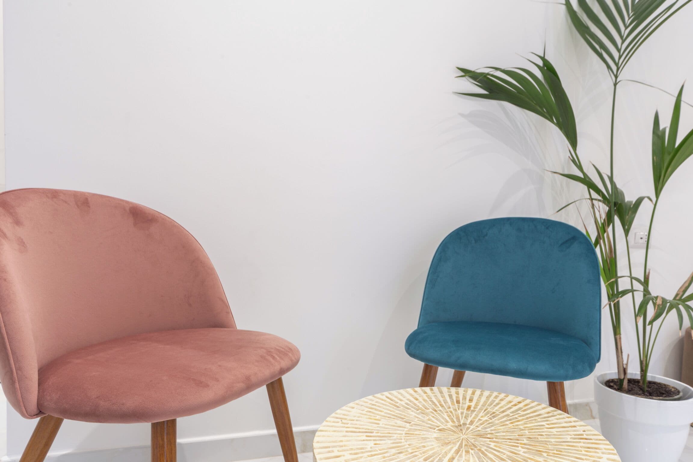 Photo - Leia Hospitality