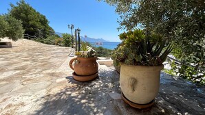 A terrace with potted plants, a stone floor, and a view of the sea. - Villa Blue Bay with private pool (Selca)