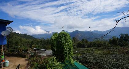 Chintapu Homestay Ilam, Sandakpur Nepal