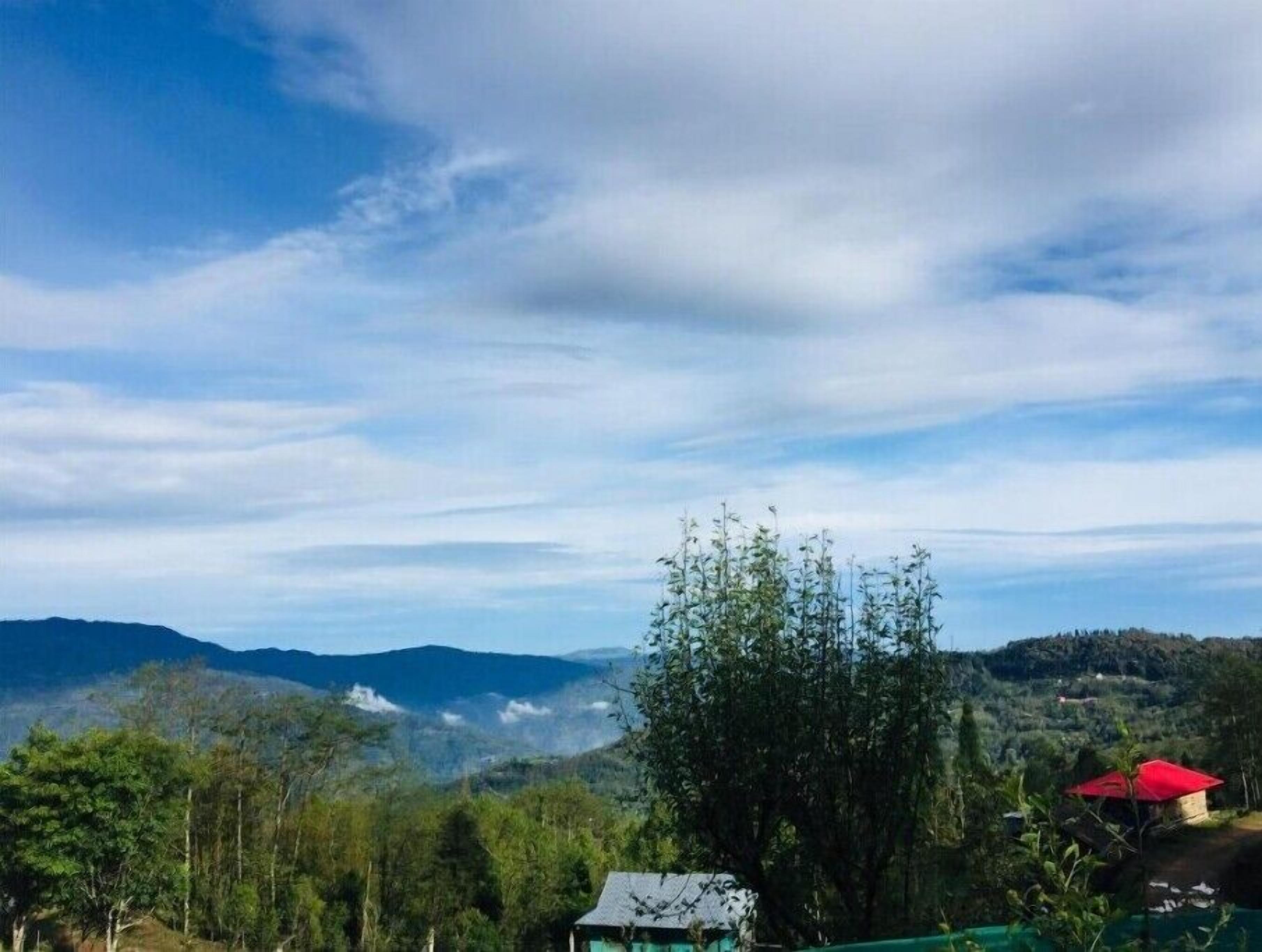 Utsikt från boendet