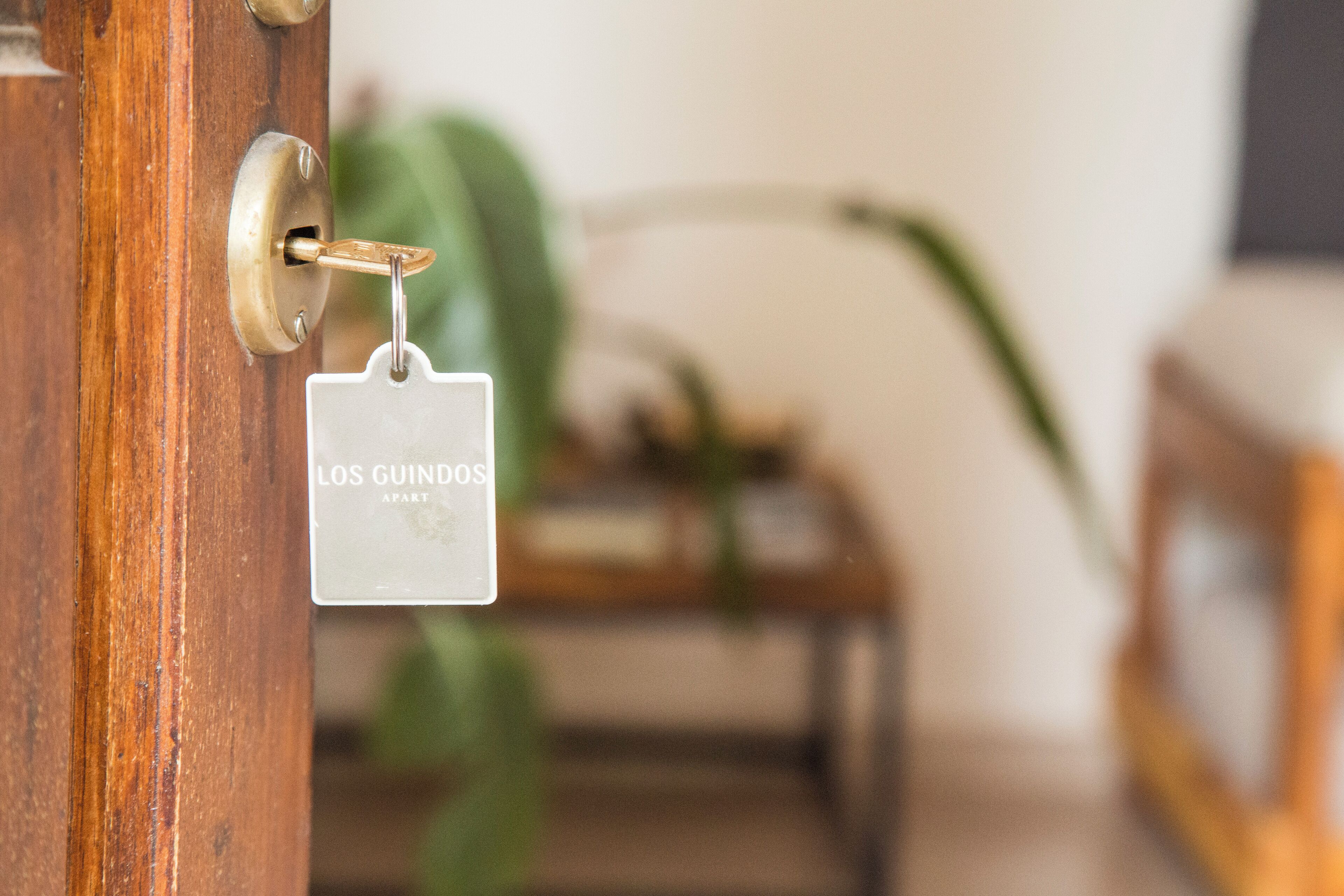 Una puerta con un ojo de cerradura y una llave insertada, un letrero con la inscripción “LOS GUINDOS APART” visible, y un fondo desenfocado con una planta.