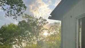 A wooden deck with a view of trees and a building in the background.