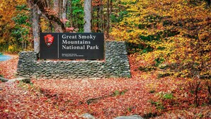 Property grounds - 2BR w/MTN Views + Downtown Views! Community Pool - Walk to Parkway! (Gatlinburg)