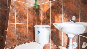 Shower, towels, soap, toilet paper