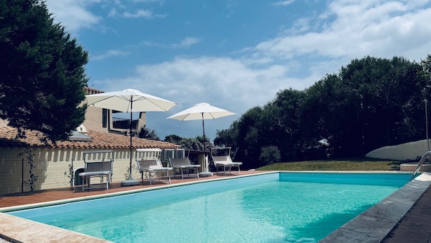 Une piscine entourée d’arbres, agrémentée de chaises longues et de parasols, et bordée d’un bâtiment dont le toit est recouvert de tuiles.