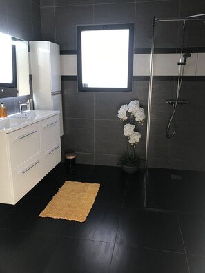 Shower, hair dryer, towels