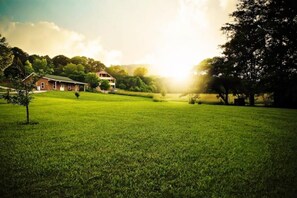 Property grounds - Martin House at Happiness Hills Farm (Berea)