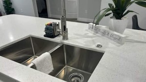 Eine moderne Küche mit Spüle aus Edelstahl, einer Arbeitsplatte aus Granit und einem Blumentopf.