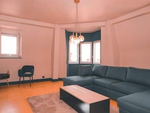 TV - Grand Appartement à Mulhouse (Mulhouse)