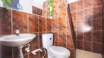 Shower, towels, soap, toilet paper