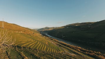 Viñedos en terrazas con un río serpenteando por el valle.