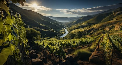 Torel Quinta da Vacaria - Douro Valley