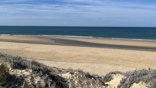 A beach with clear skies and calm waters. - Cabane Edena, Terrasse Ombragée Jardin Vélos Wifi à 350m de la Plage du Mauret (Andernos-les-Bains)