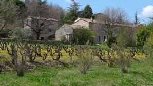 A stone building with a tiled roof, surrounded by trees and a vineyard. - Charme D'un mas en Luberon, Calme, vue Panoramique, Piscine, Cheminée (Lacoste)