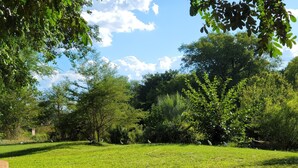 A grassy park area with trees and a stone structure. - Thorn Tree House (Livingstone)