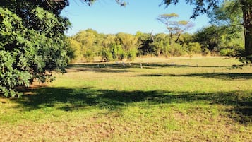 Vista giardino
