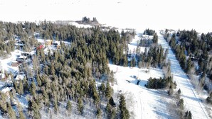 An aerial view of a snowy landscape with dense forests, a few buildings, and a clear sky.