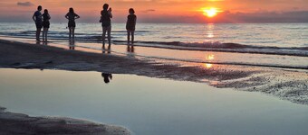 Cozy House: 5 min drive to beach-zoo-restaurants-casino-brewery-train to Chicago