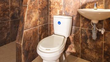 Regadera, toallas, jabón, papel de baño