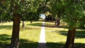 Een pad omzoomd door bomen in een park.